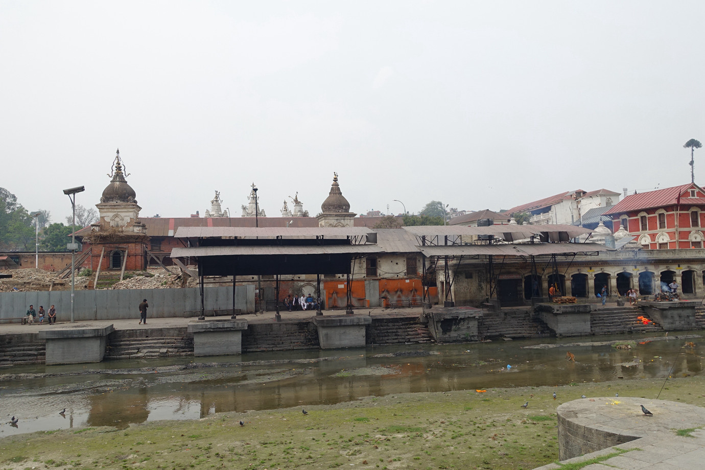 尼泊爾加德滿都-帕舒帕蒂納特廟 Pashupatinath